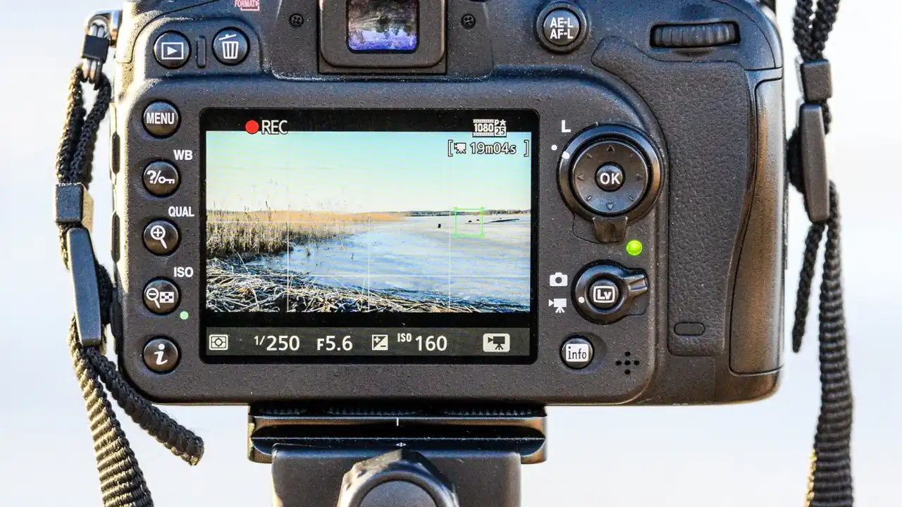 Chef John's Irish Soda Bread